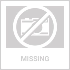 Cats And Dogs Liquid Herbal Medicine And Natural Broad Spectrum Treatment For Tapeworm Whipworm Roundworm And Hookworm Prevention Medication Supplemen